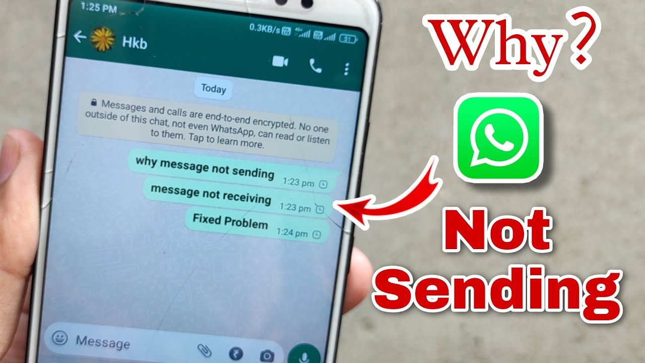 Why are my whatsapp messages not delivering to just one contact 1 why are my whatsapp messages not delivering to one person
